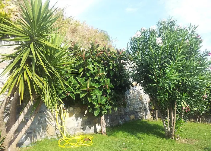 Nocleg ze śniadaniem Ariadamare 4*