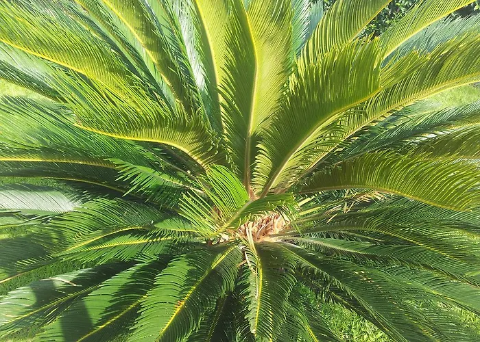 Ariadamare Nocleg ze śniadaniem San Remo