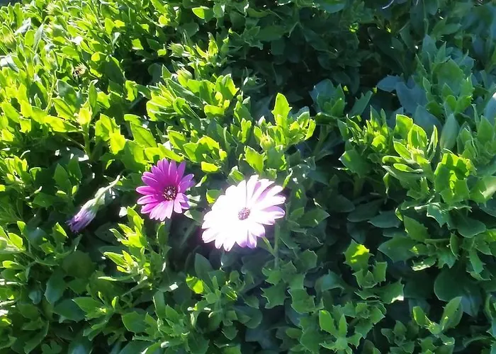 Ariadamare Nocleg ze śniadaniem